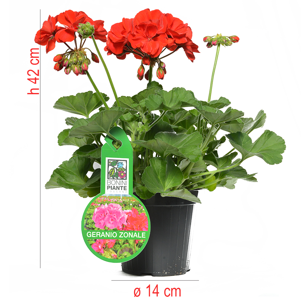 product01