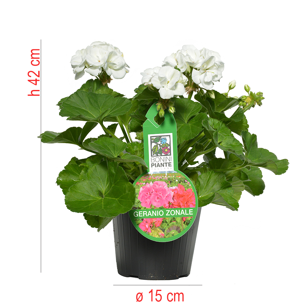 product01