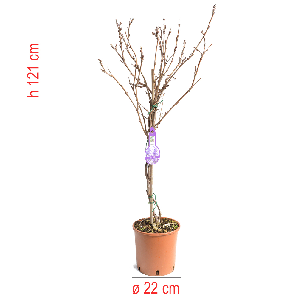 product01
