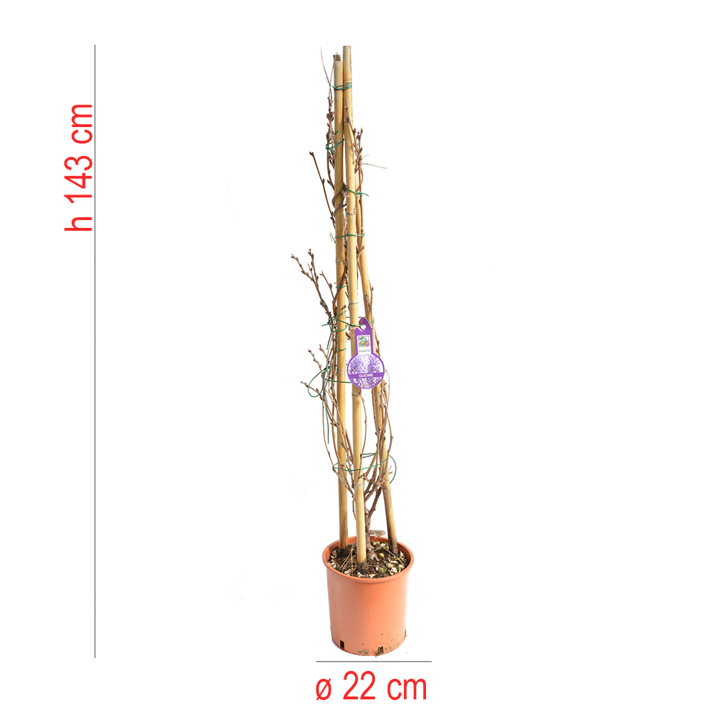 product01