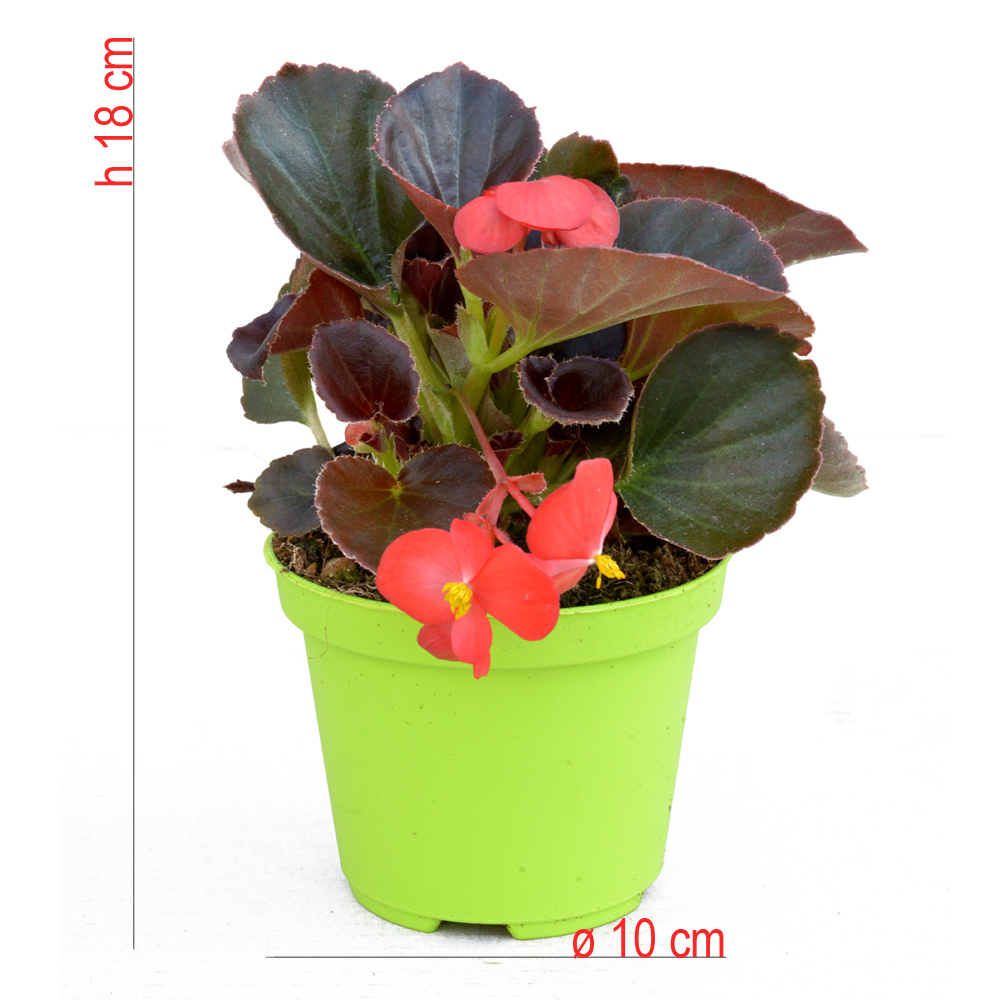 product01