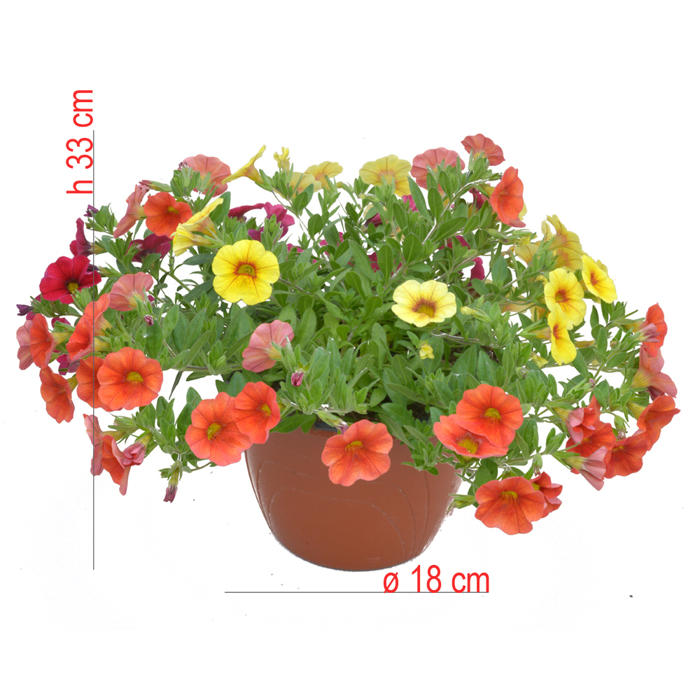 product01
