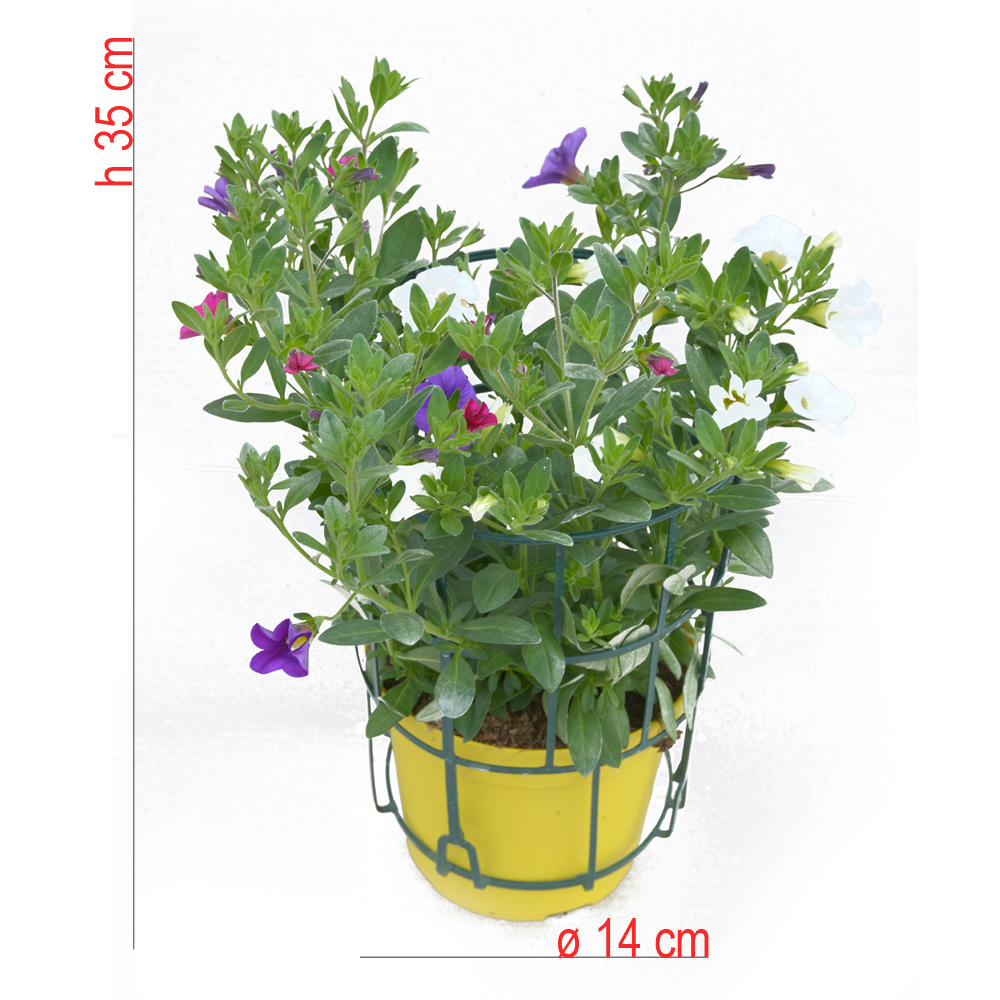 product01