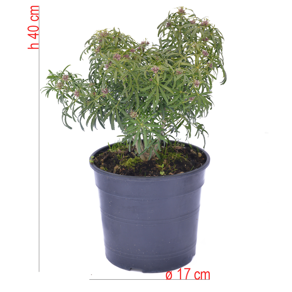 product01