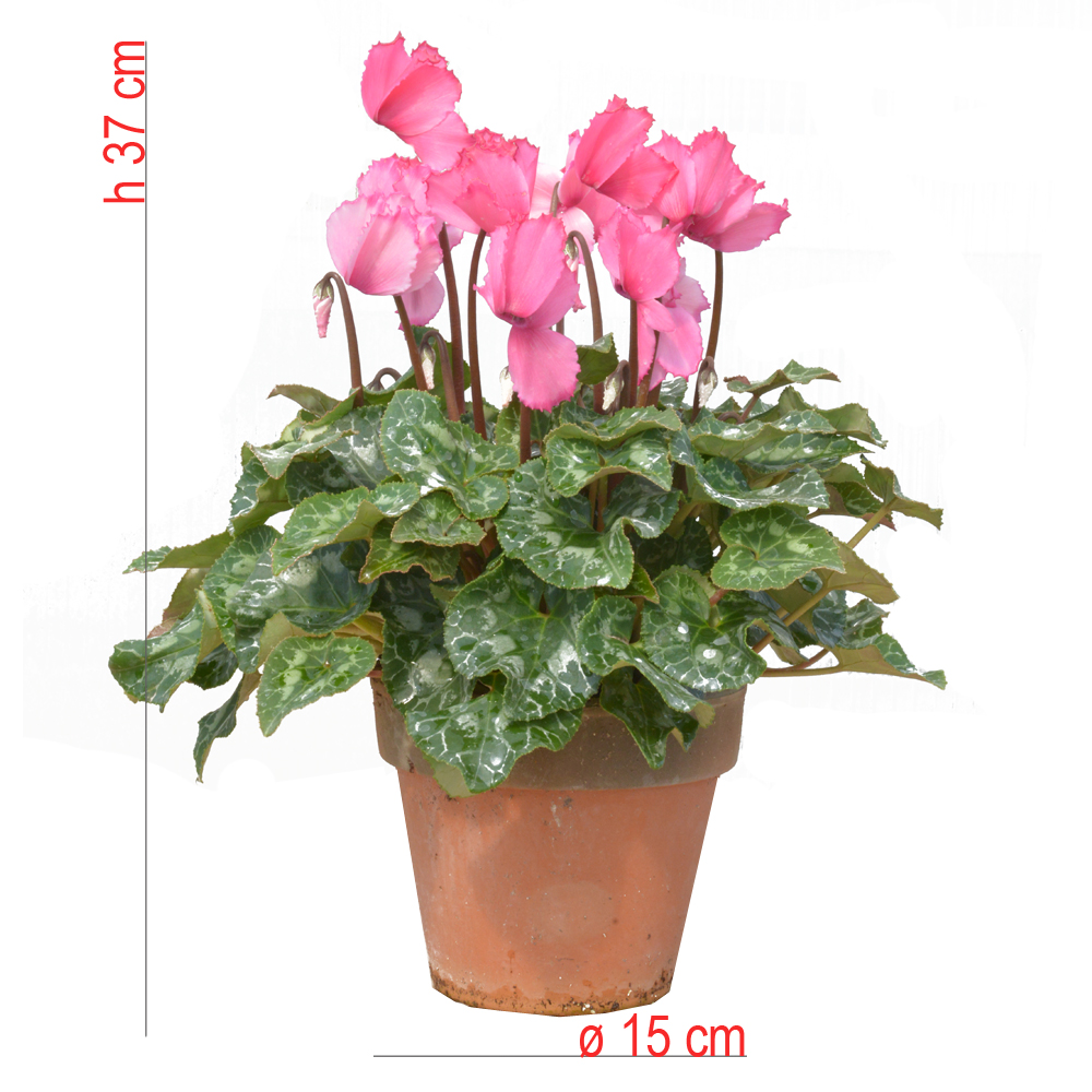 product01