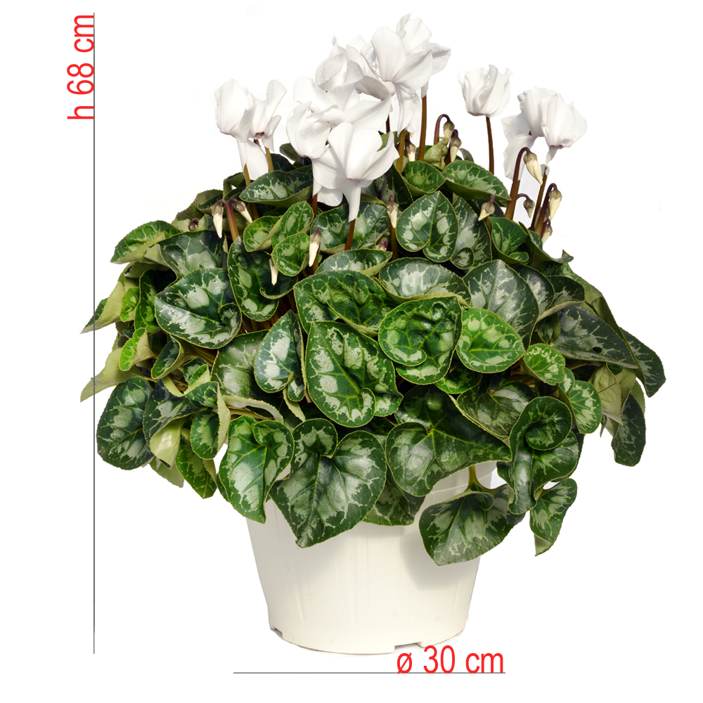 product01