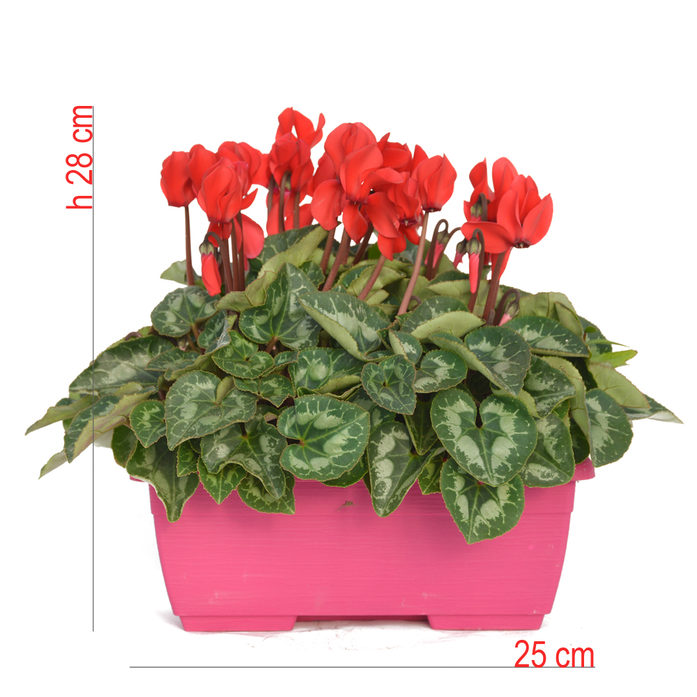product01
