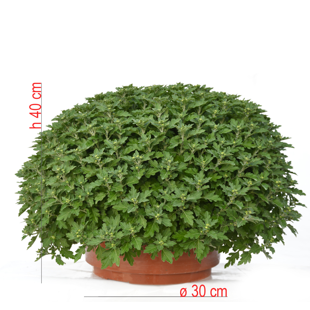 product01