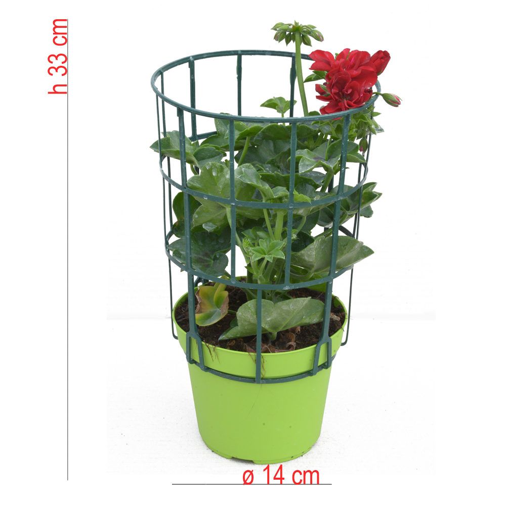 product01