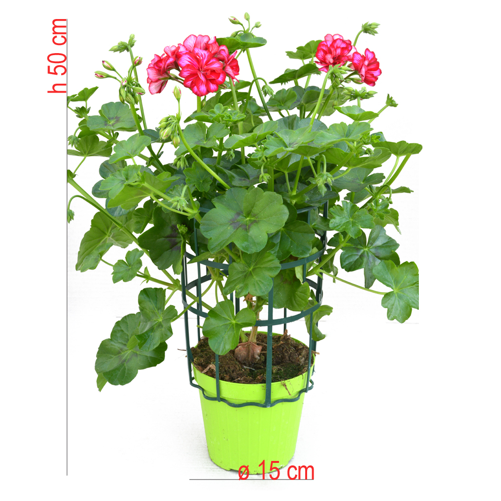 product01