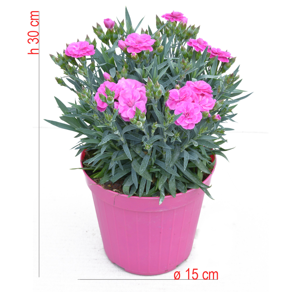 product01