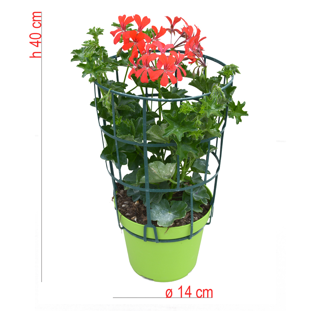 product01