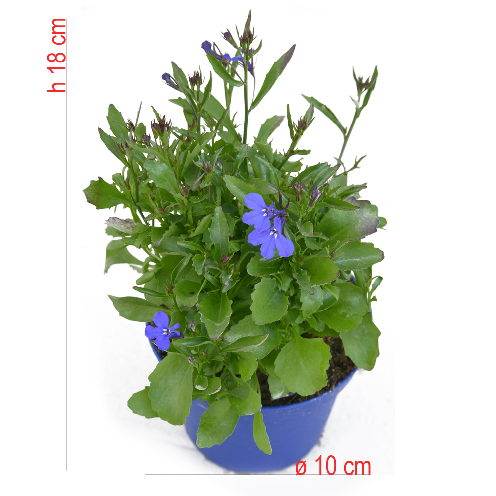 product01