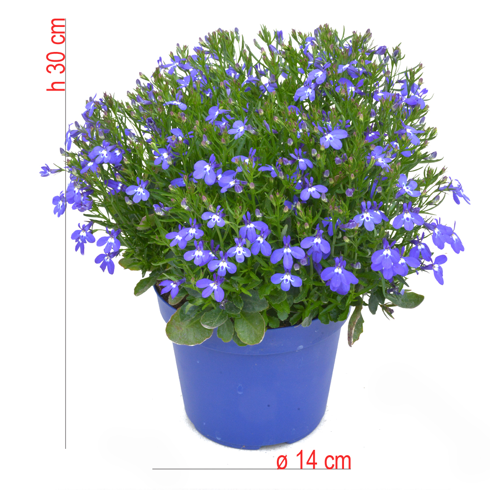 product01