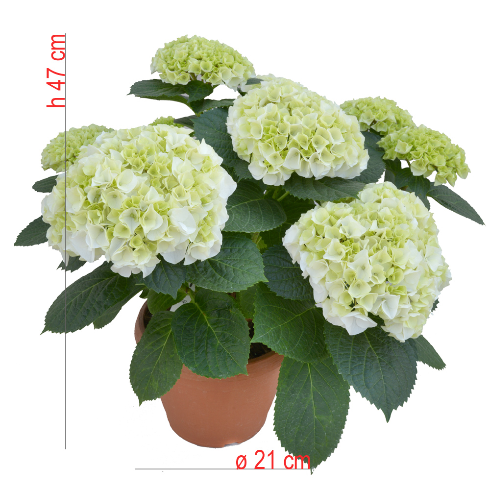 product01