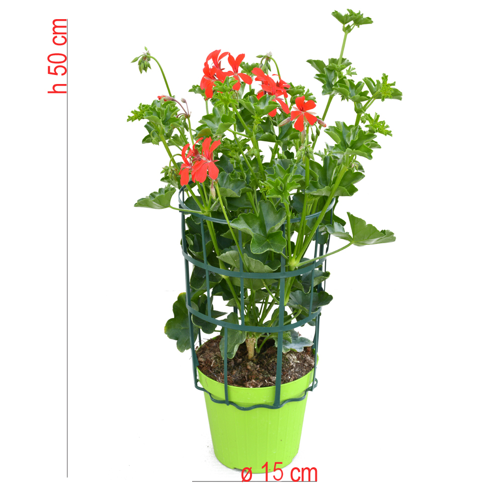 product01