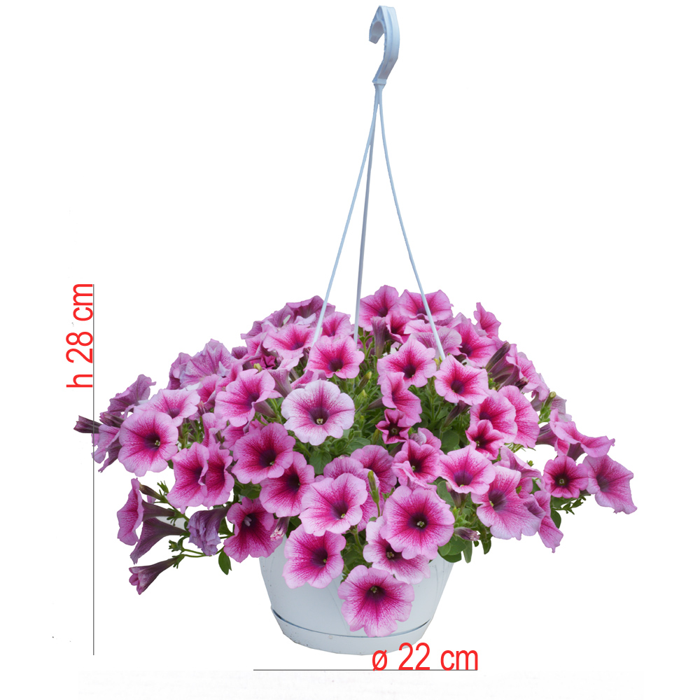 product01