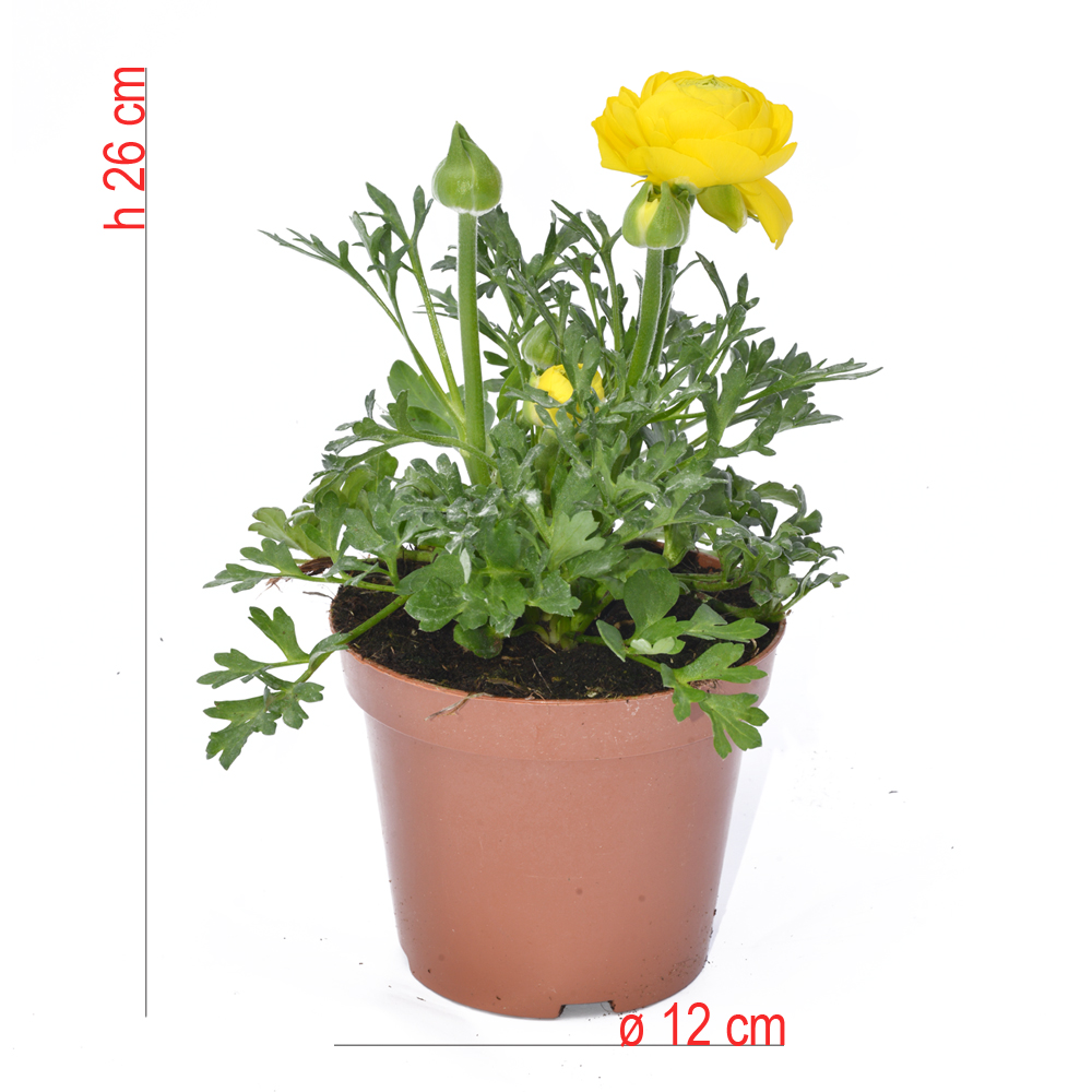 product01