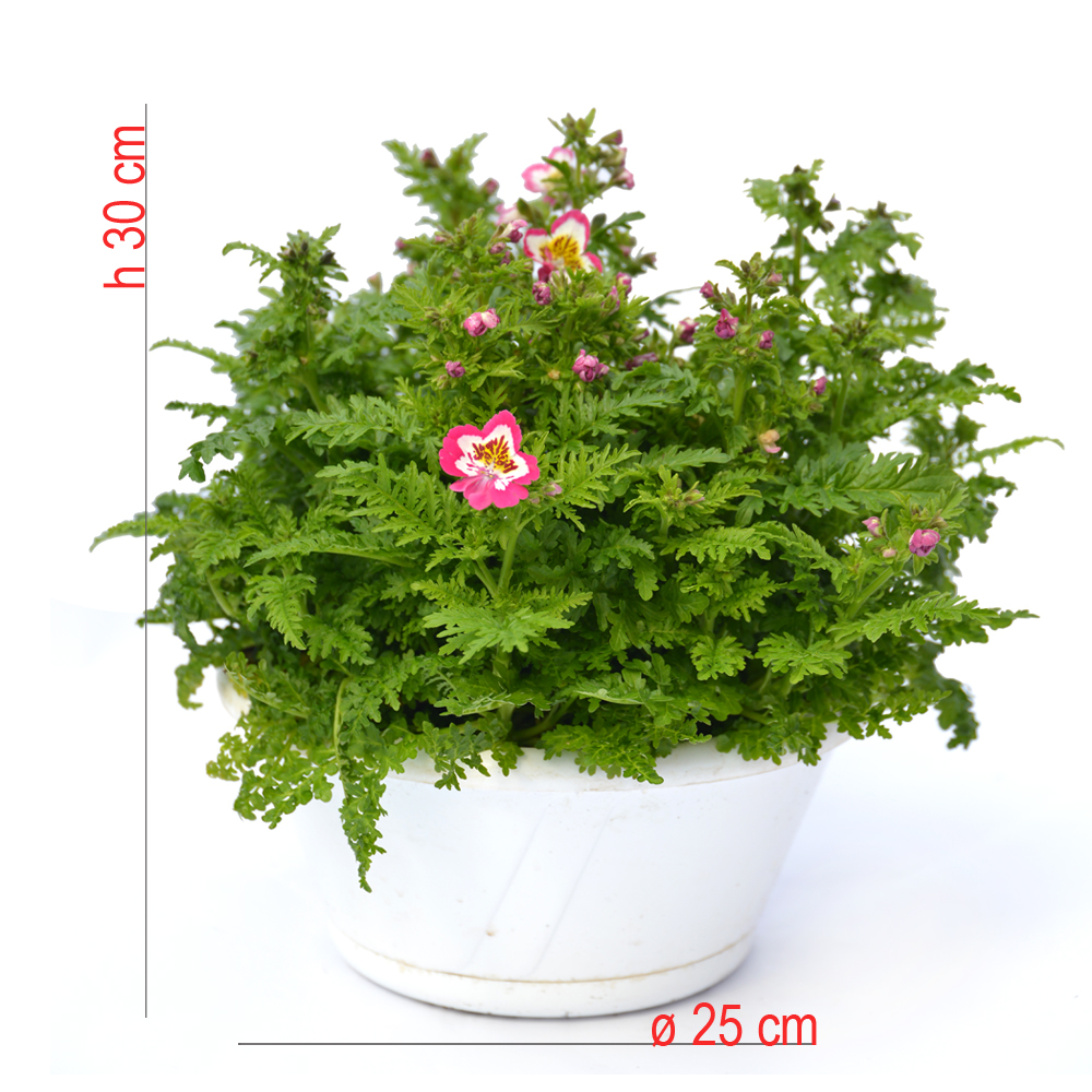 product01