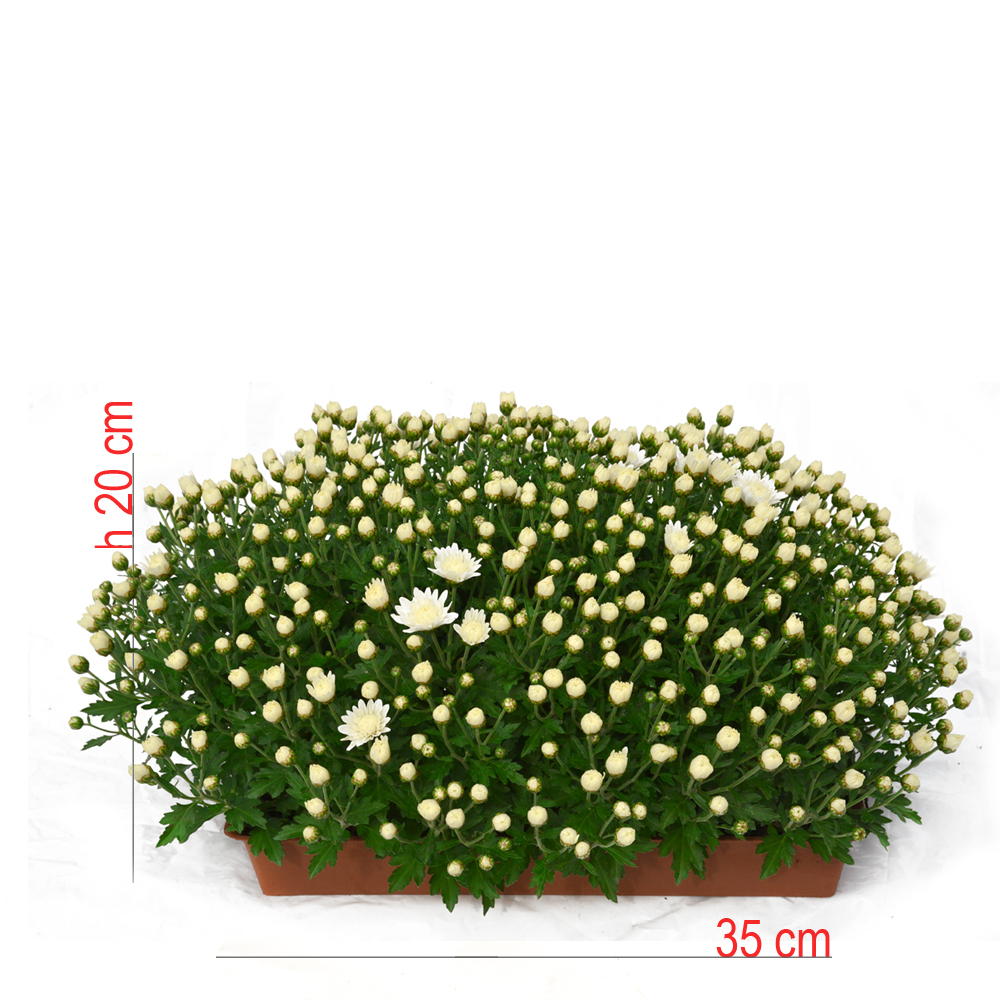 product01
