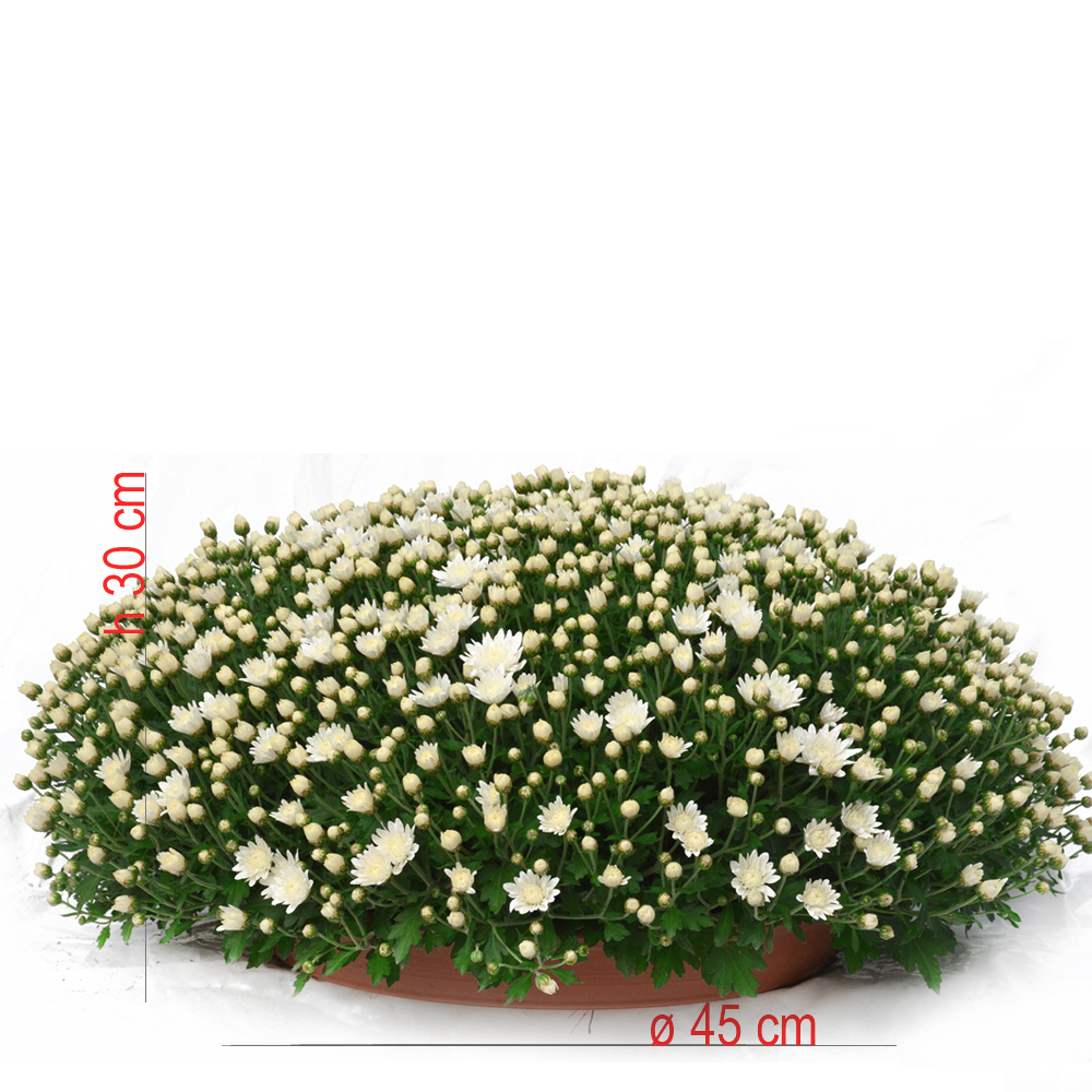 product01