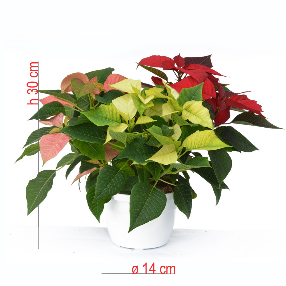 product01