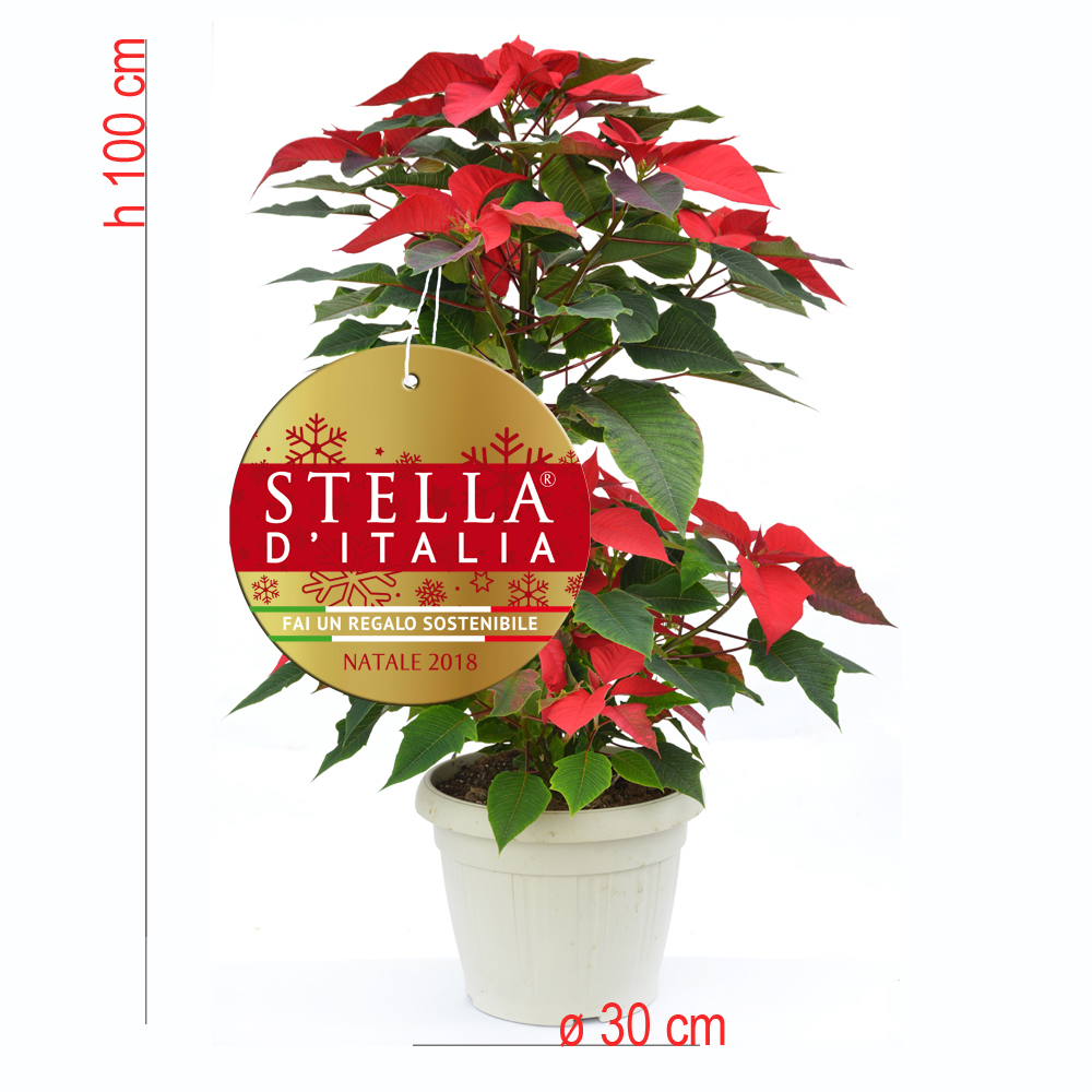 product01