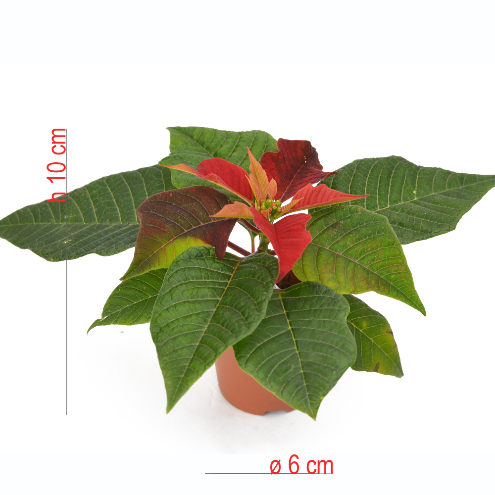 product01