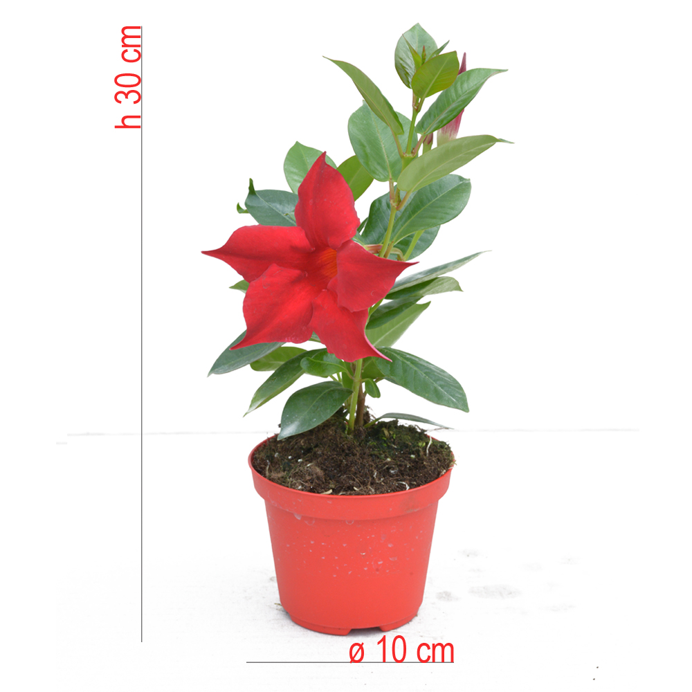 product01