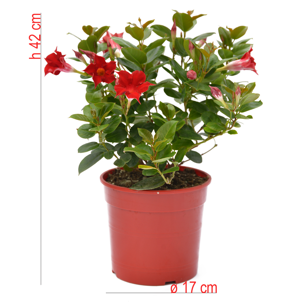 product01