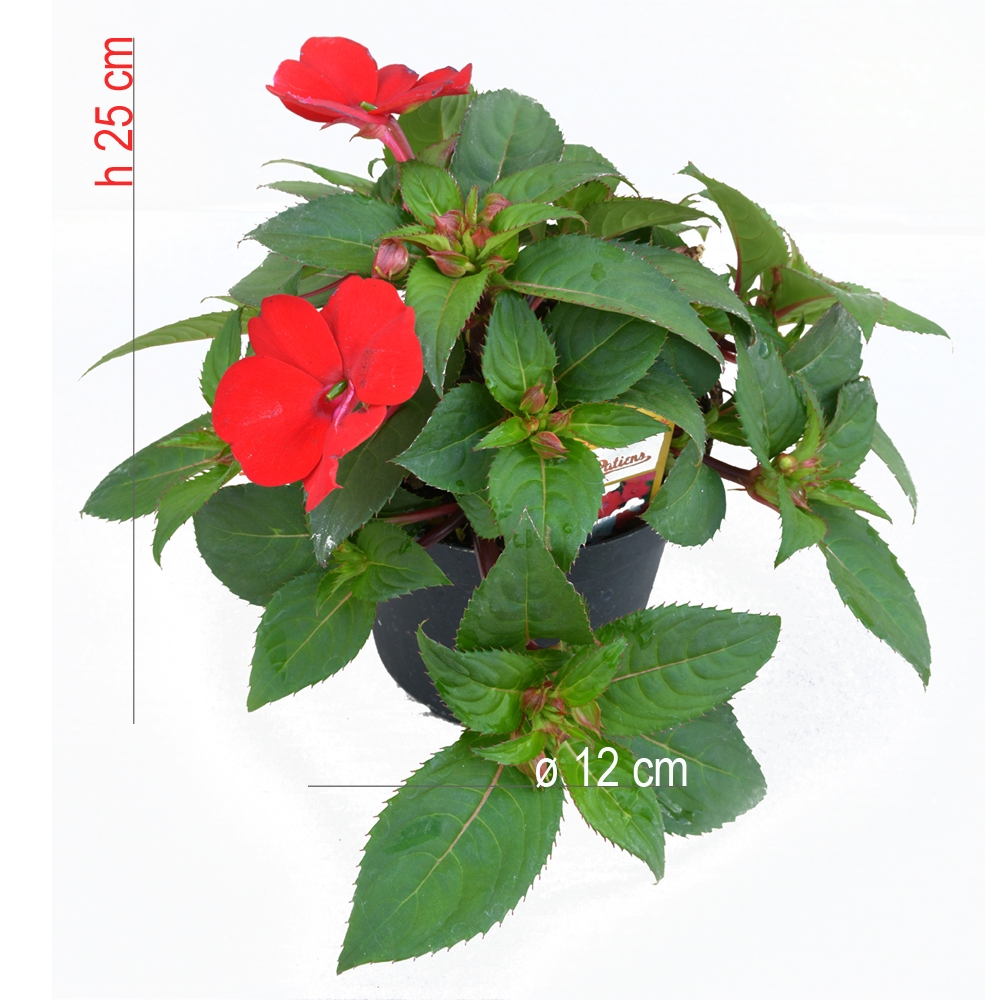product01