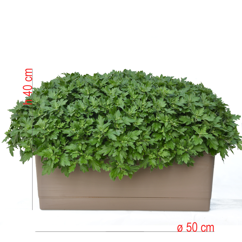 product01