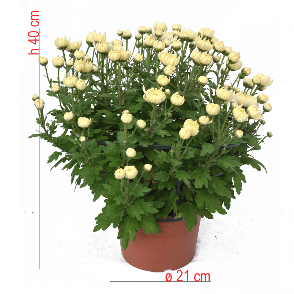 product01