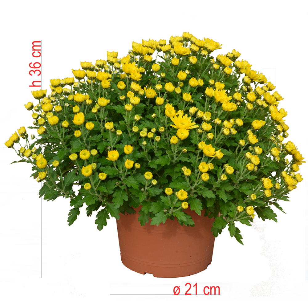 product01
