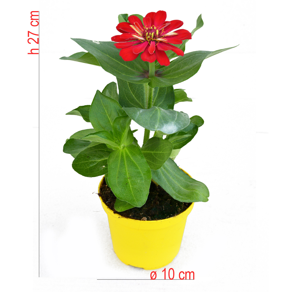 product01